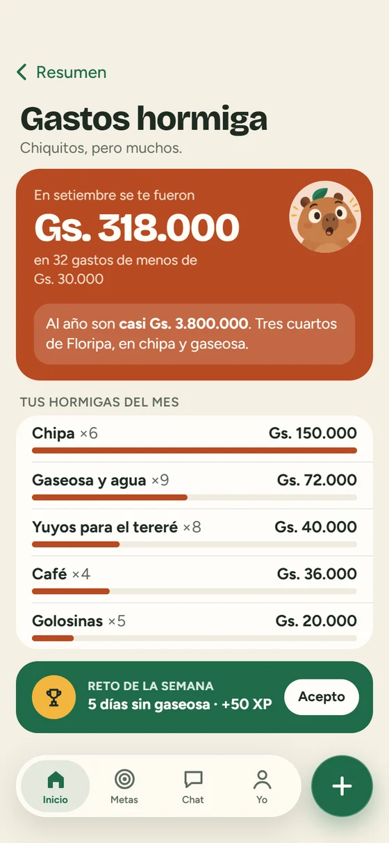 Gastos hormiga agrupados con proyección anual